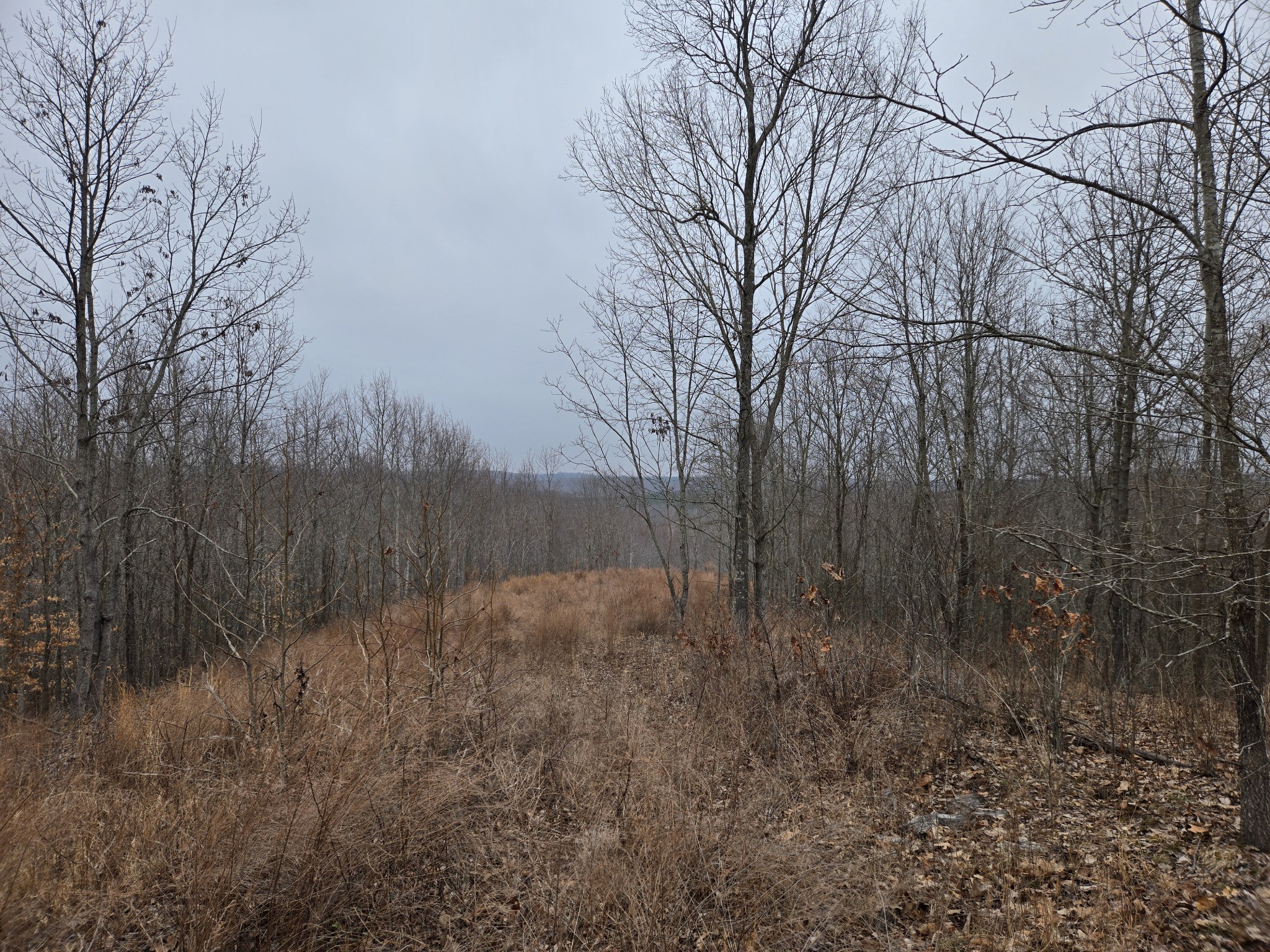 0 Overlook Trl Property Photo 8