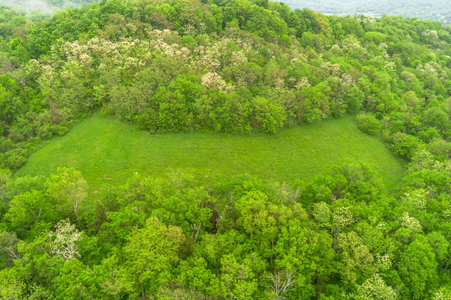 402 Cortner Hollow Rd Property Photo 4