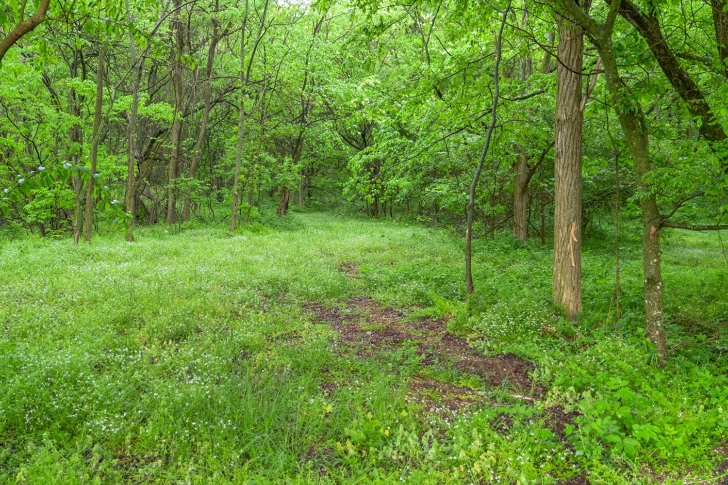402 Cortner Hollow Rd Property Photo 5