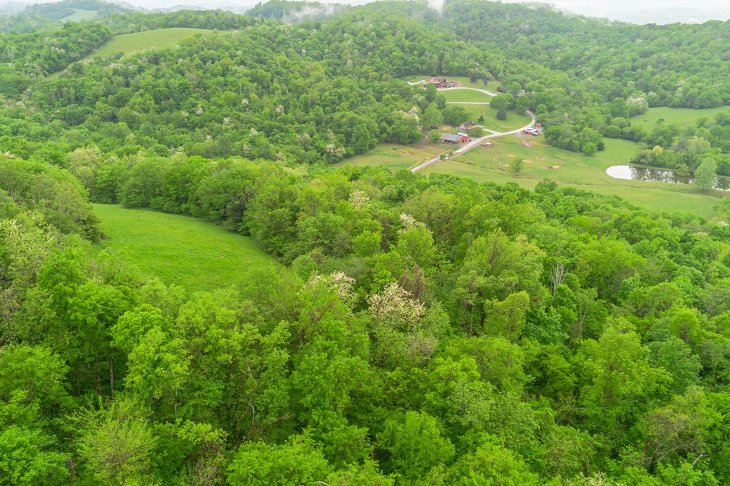 402 Cortner Hollow Rd Property Photo 53