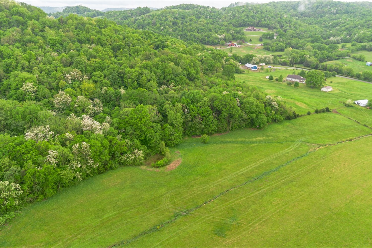 402 Cortner Hollow Rd Property Photo 60