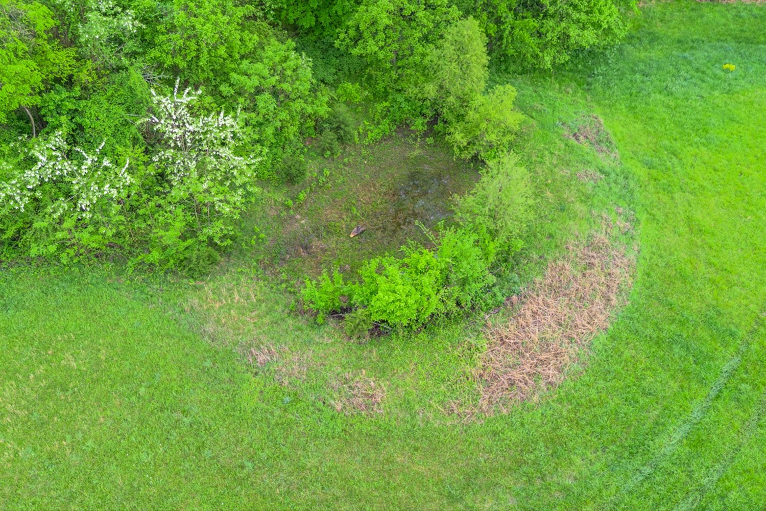 402 Cortner Hollow Rd Property Photo 61