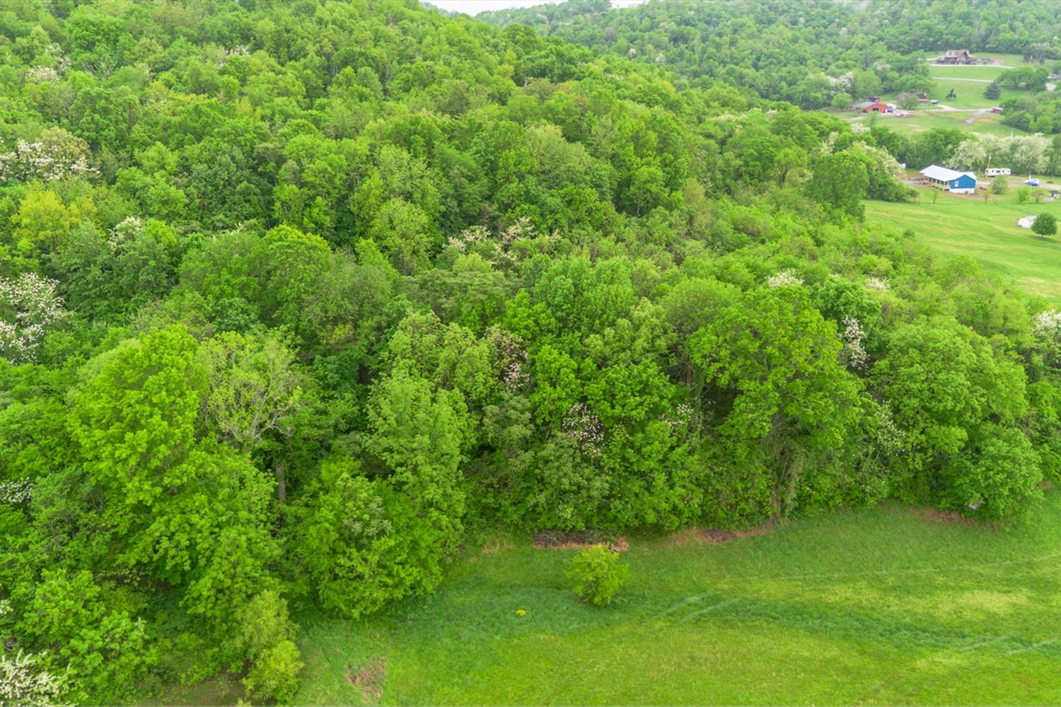402 Cortner Hollow Rd Property Photo 62