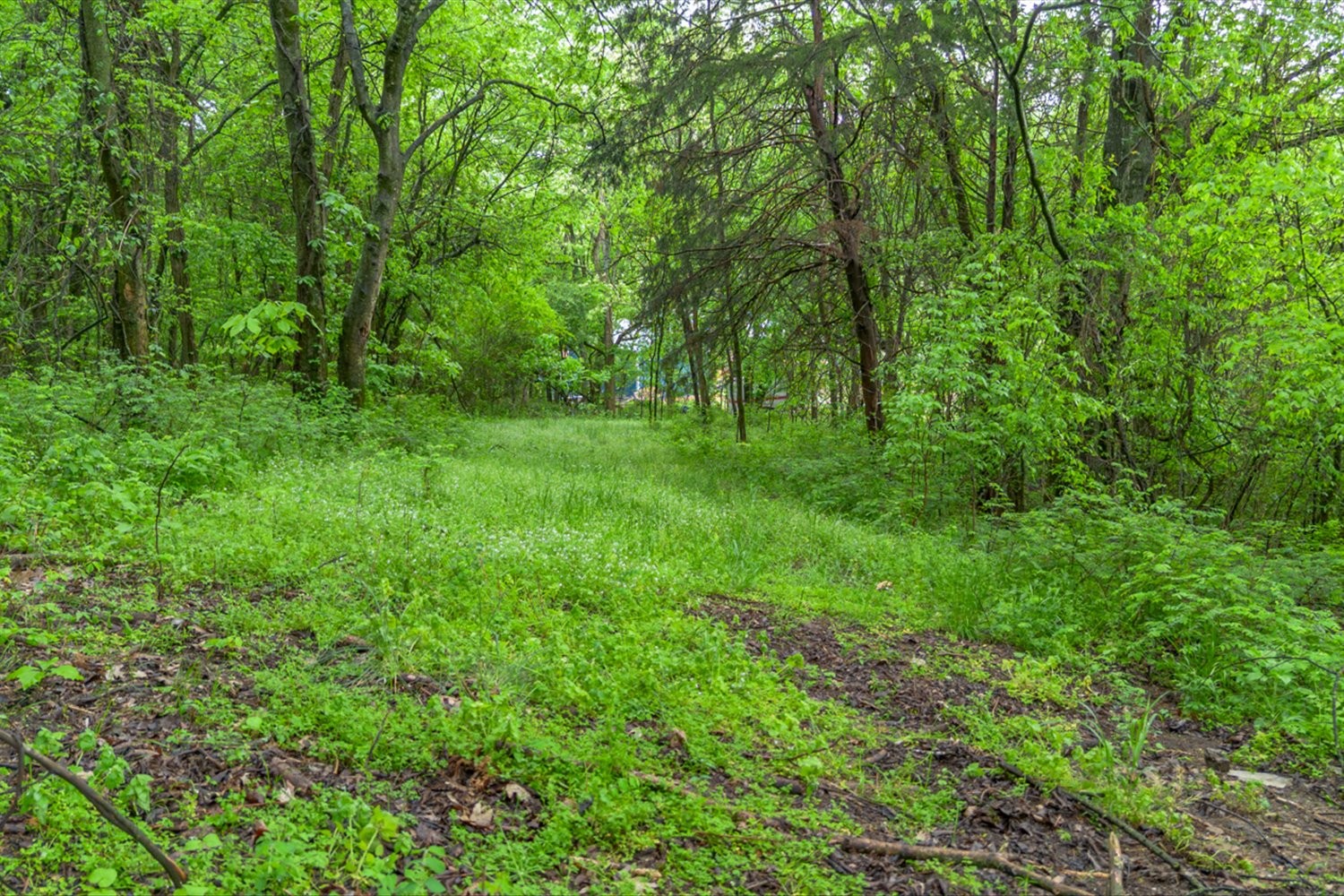 402 Cortner Hollow Rd Property Photo 65