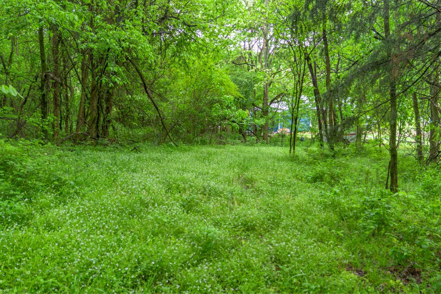 402 Cortner Hollow Rd Property Photo 66