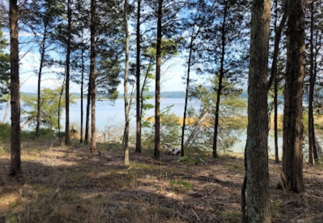 0 Clear Sail Way Property Photo 14
