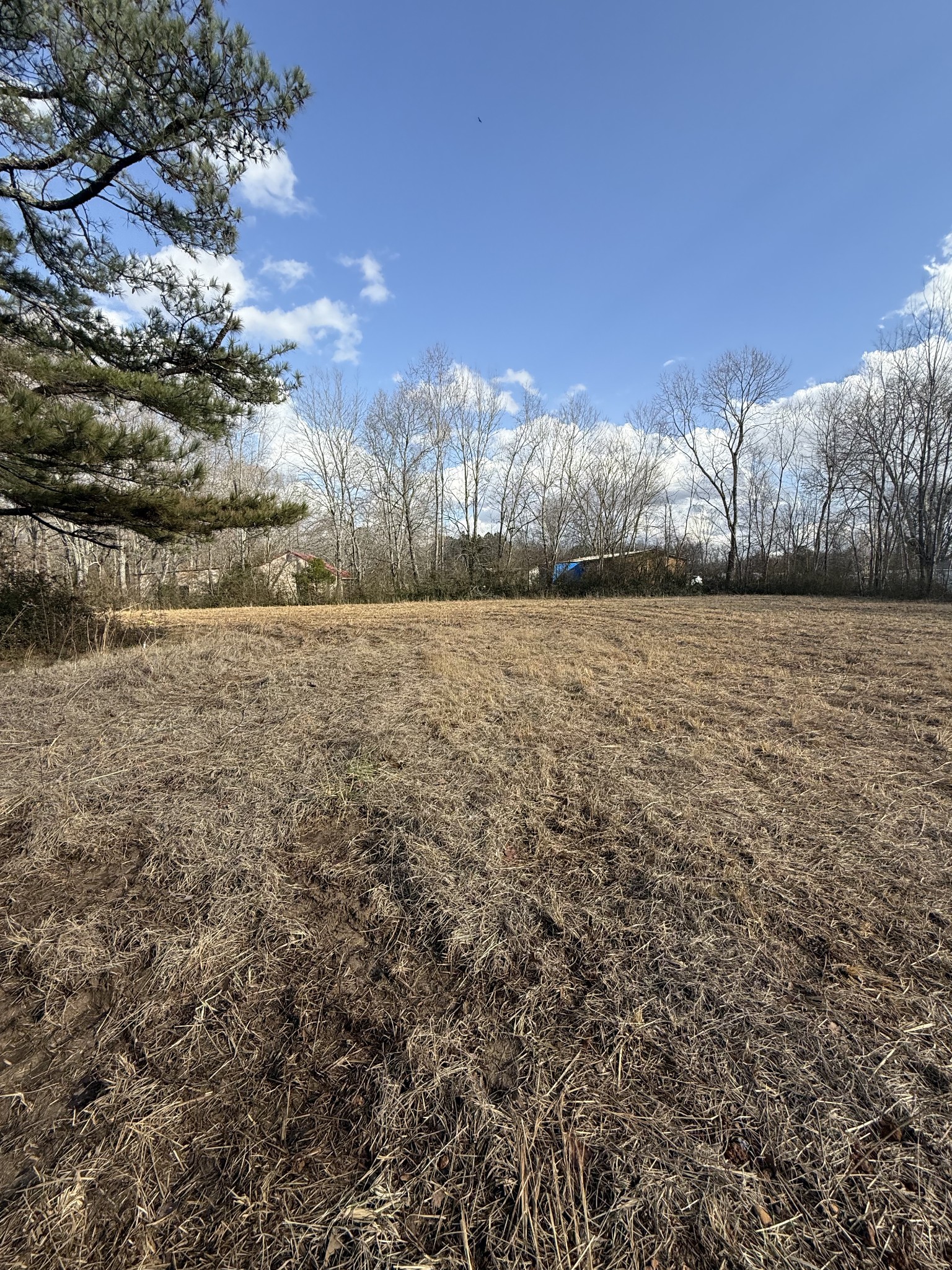 174 Mail Rd Property Photo 14