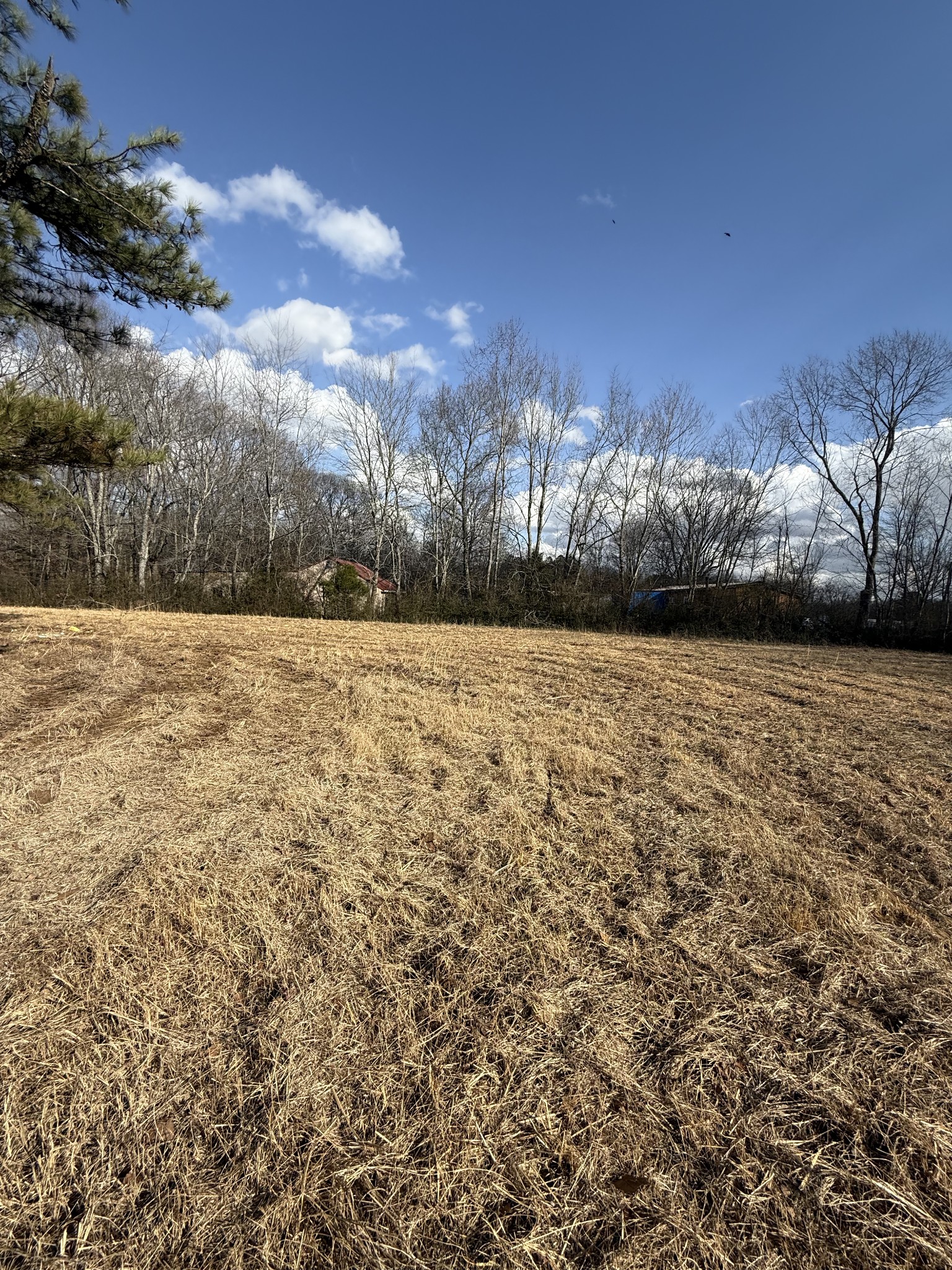 174 Mail Rd Property Photo 15