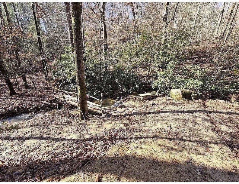 0 Mountaineer Tr Property Photo 4