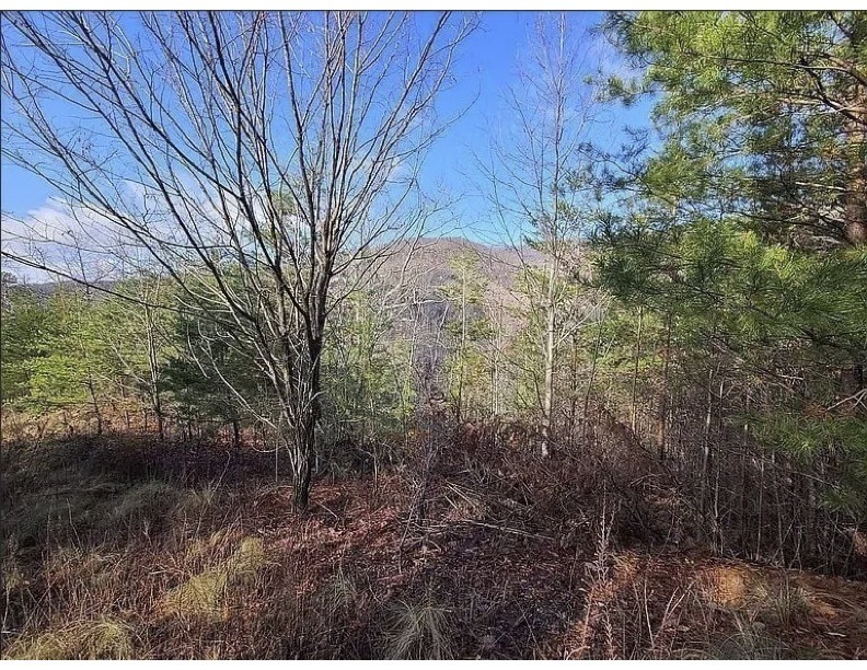 0 Mountaineer Tr Property Photo 6