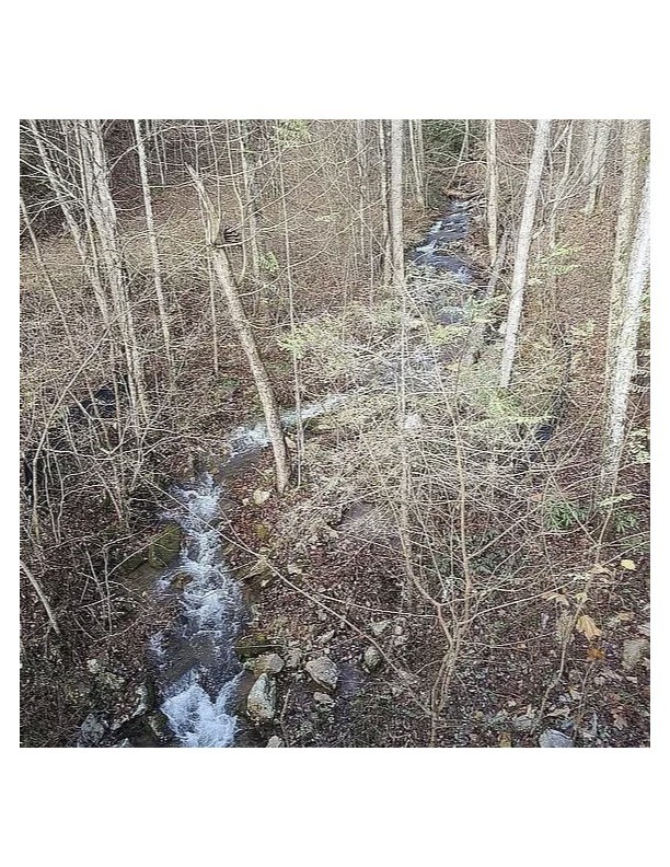 0 Mountaineer Tr Property Photo 8