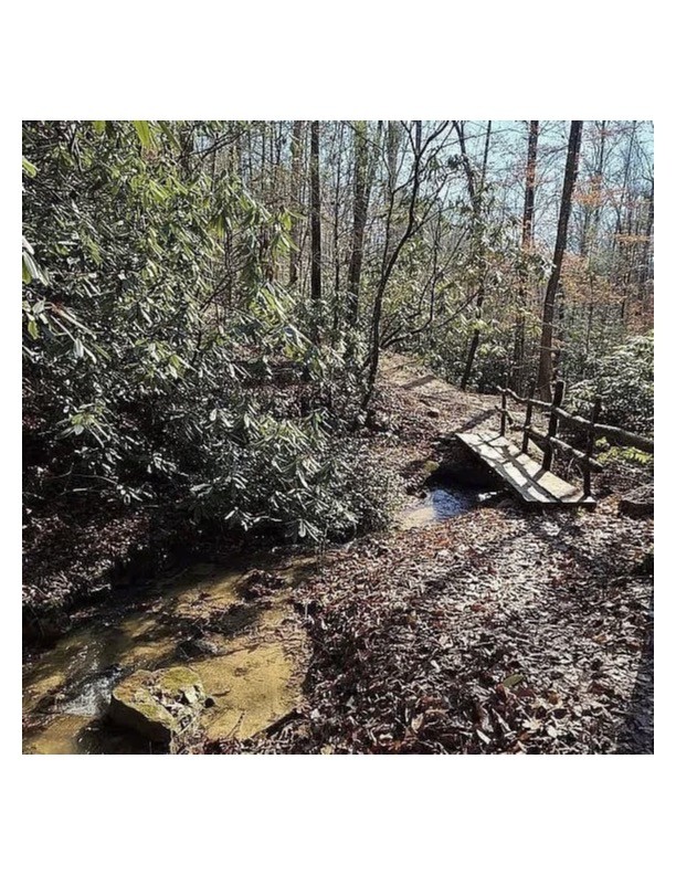 0 Mountaineer Tr Property Photo 10