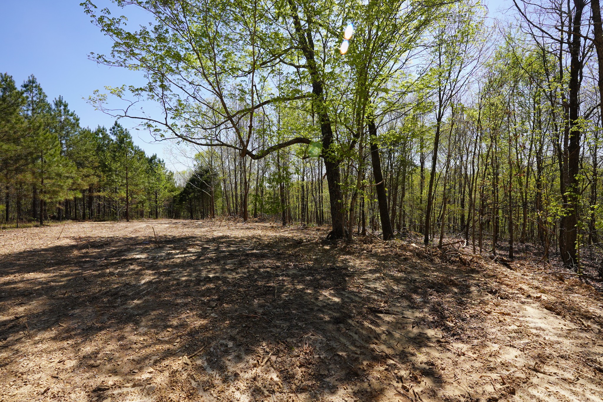 6 Highway 232 Property Photo 2