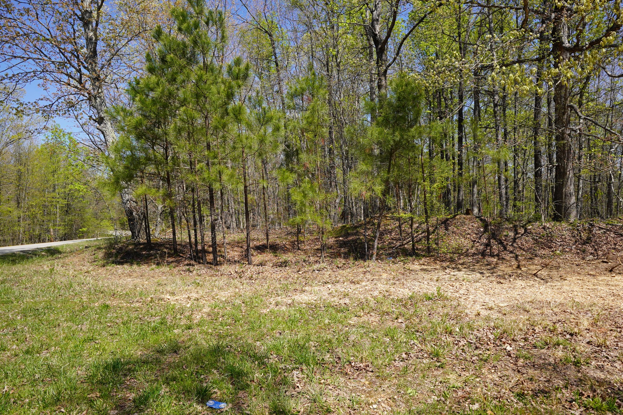 6 Highway 232 Property Photo 4