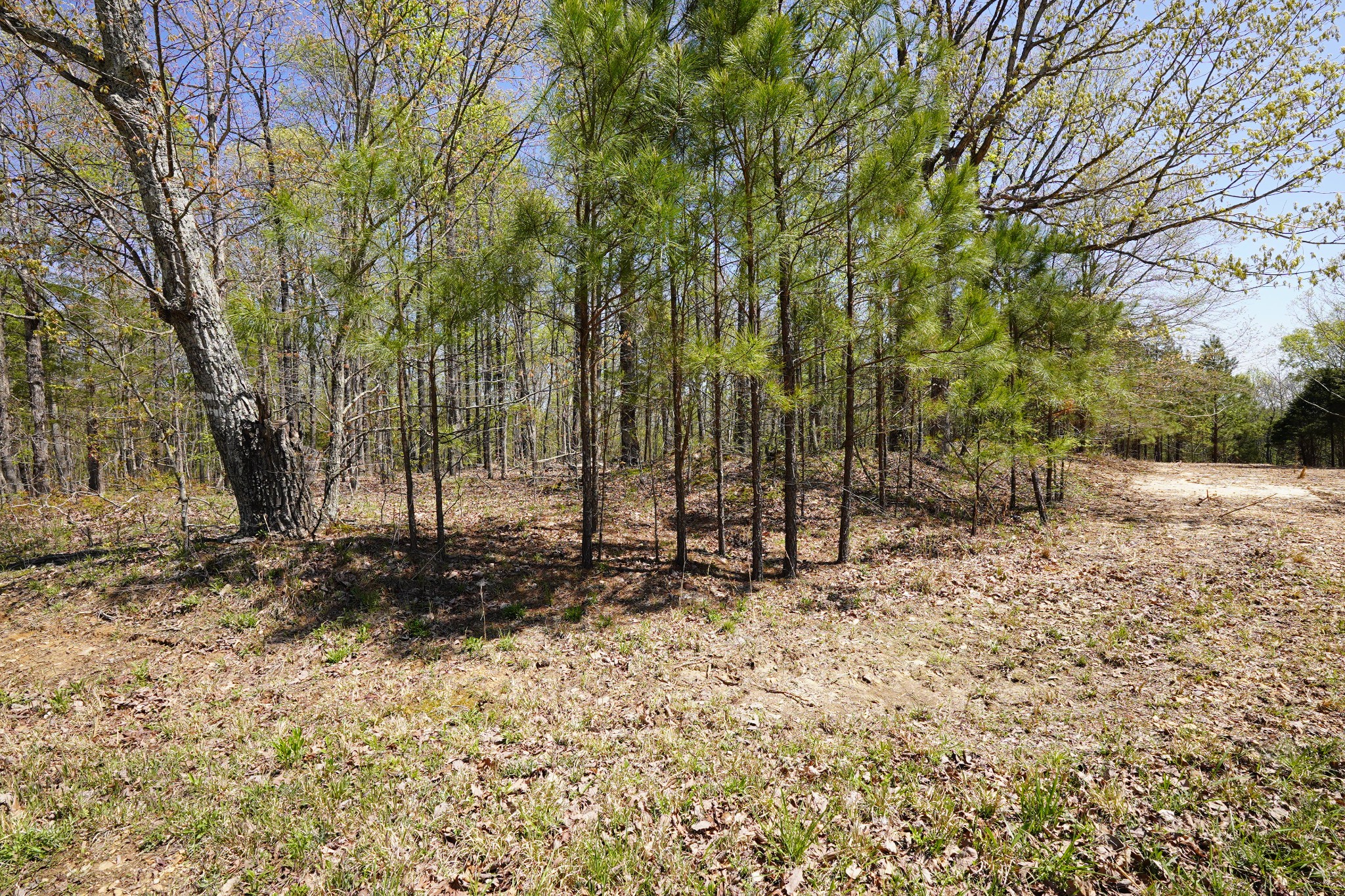 6 Highway 232 Property Photo 5