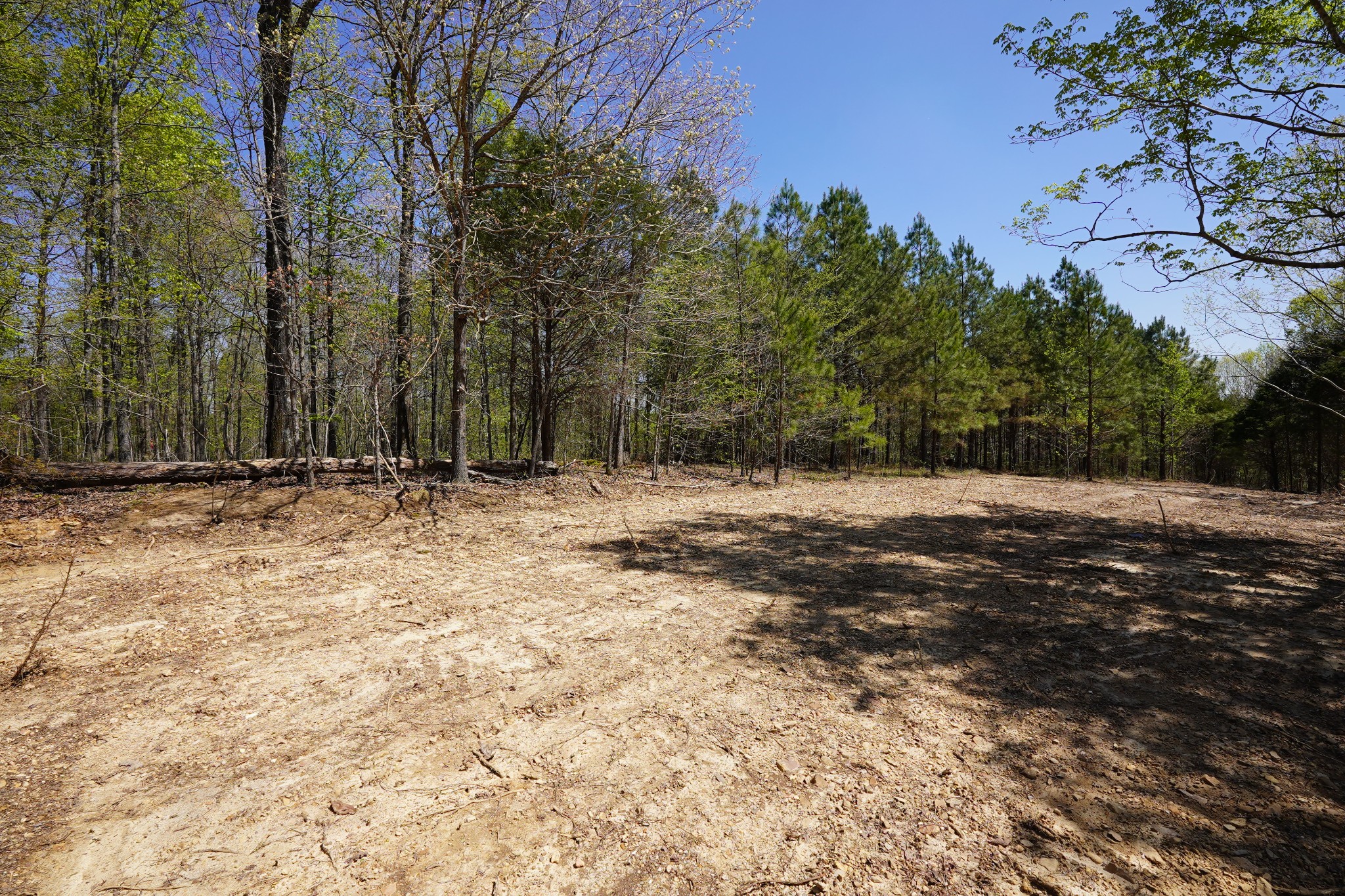 6 Highway 232 Property Photo 6