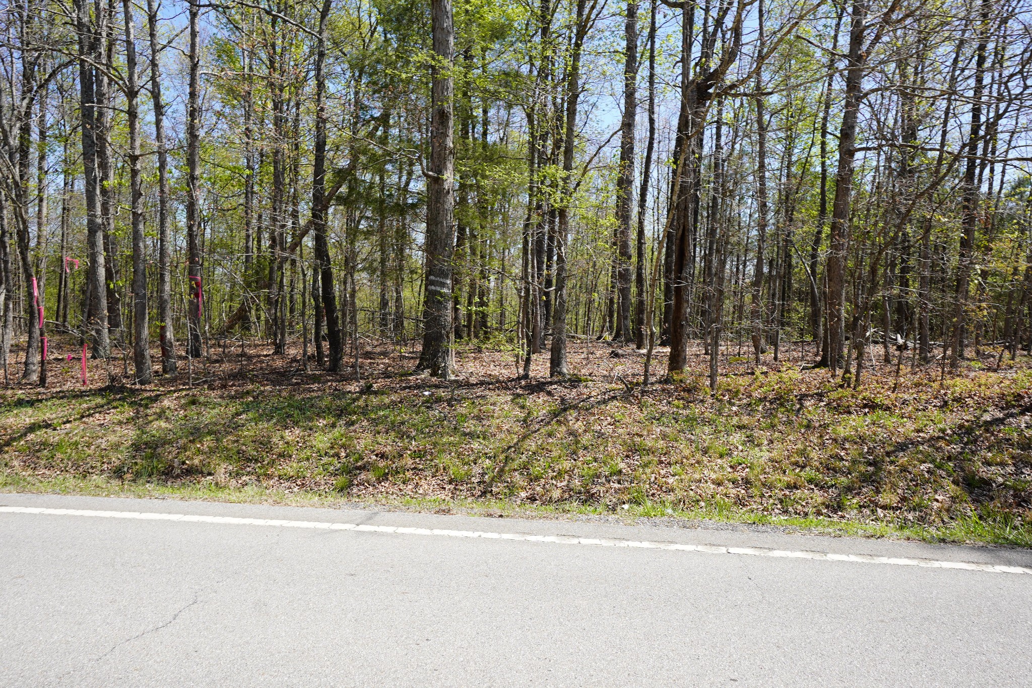 6 Highway 232 Property Photo 9