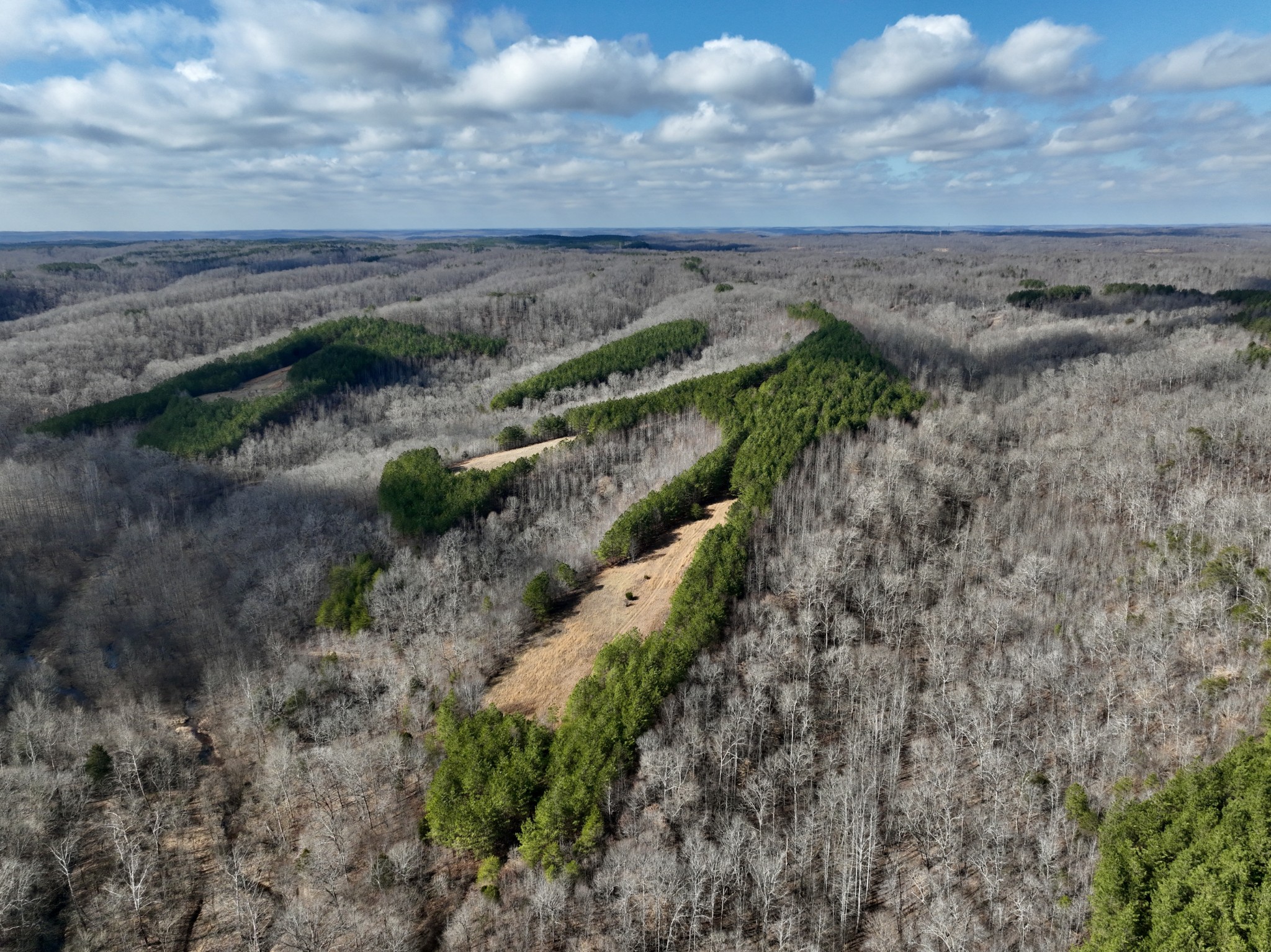 0 Duck River Property Photo 2