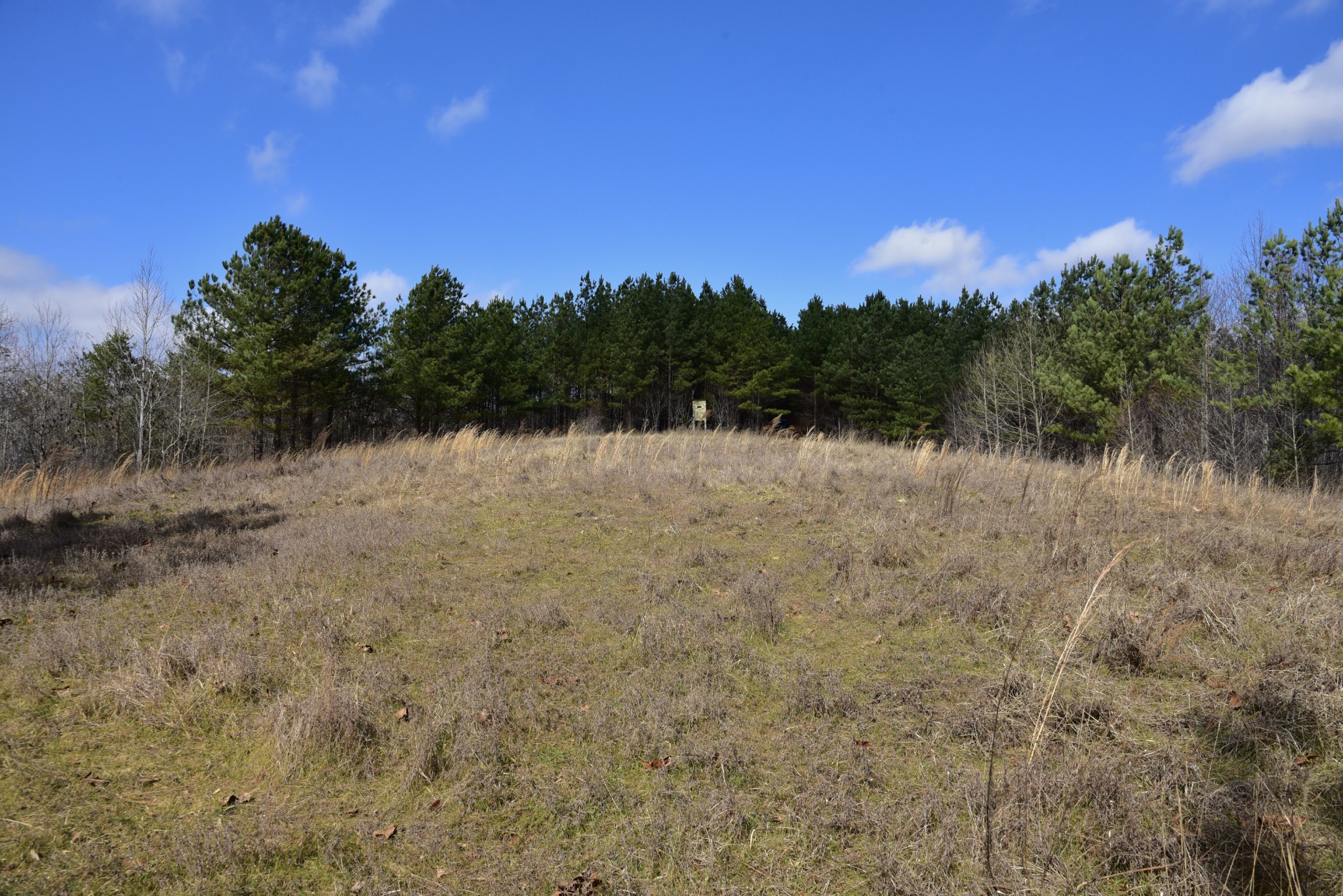 0 Duck River Property Photo 6