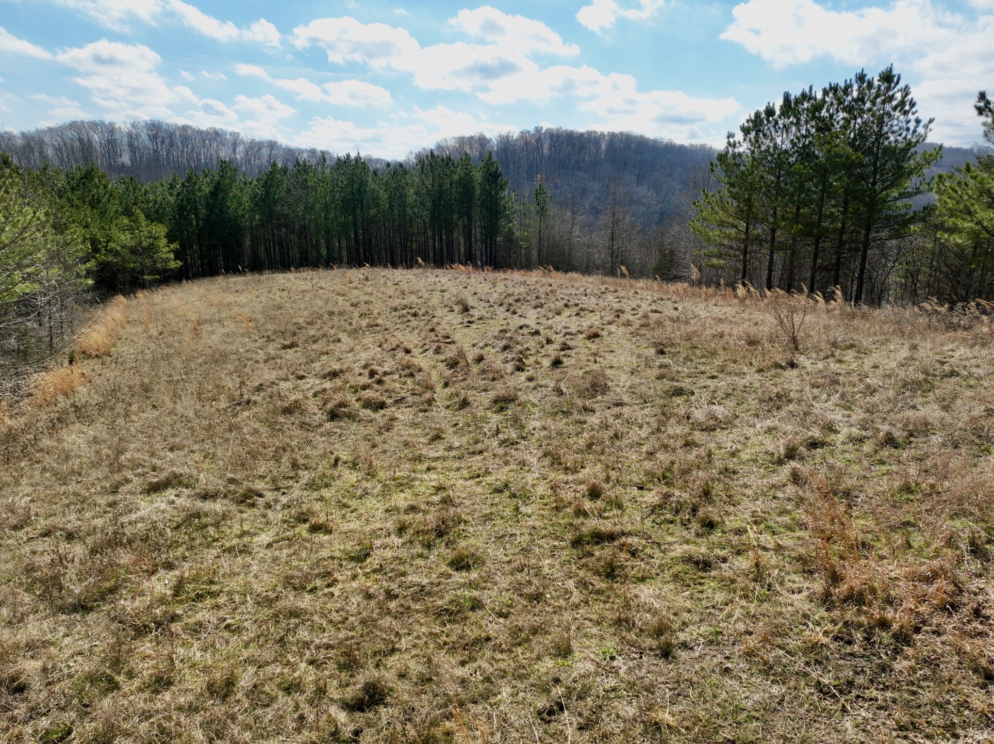 0 Duck River Property Photo 8