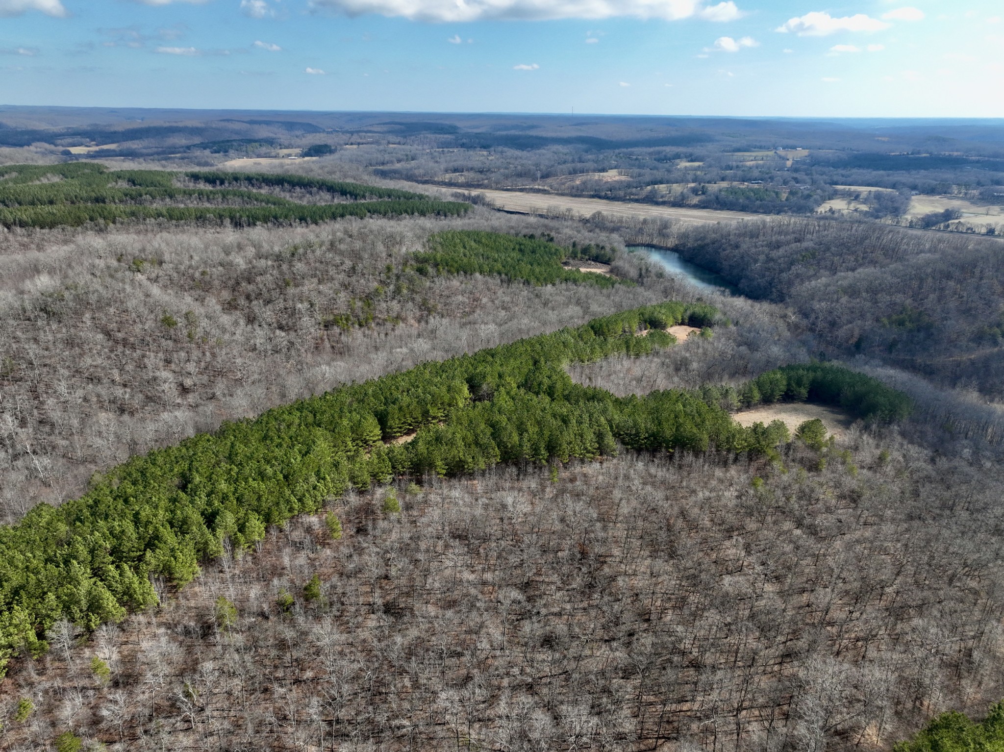 0 Duck River Property Photo 11