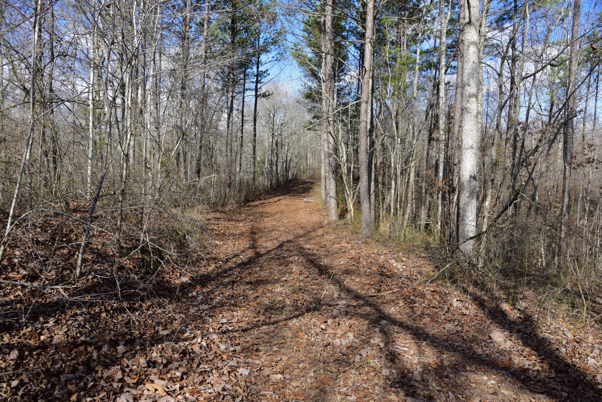 0 Duck River Property Photo 12