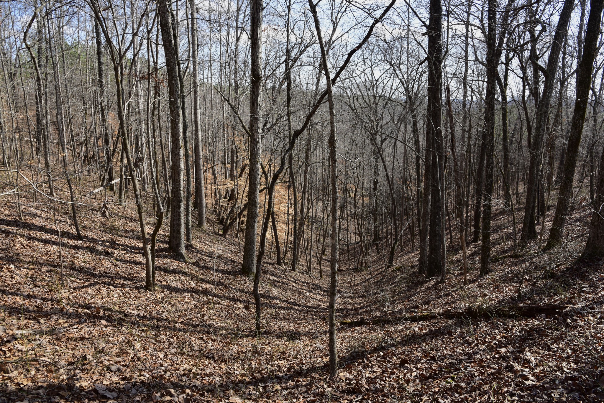 0 Duck River Property Photo 14