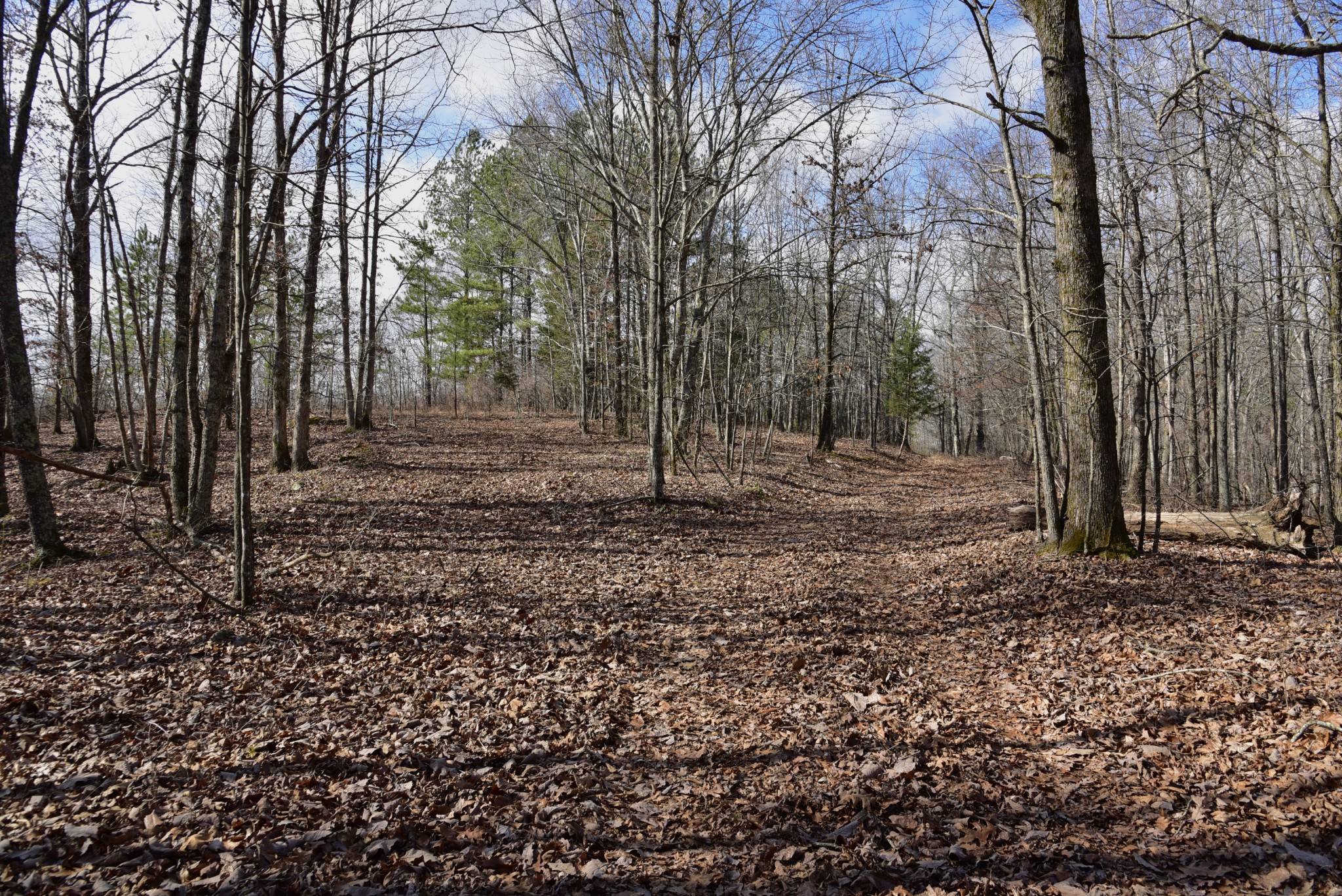 0 Duck River Property Photo 16