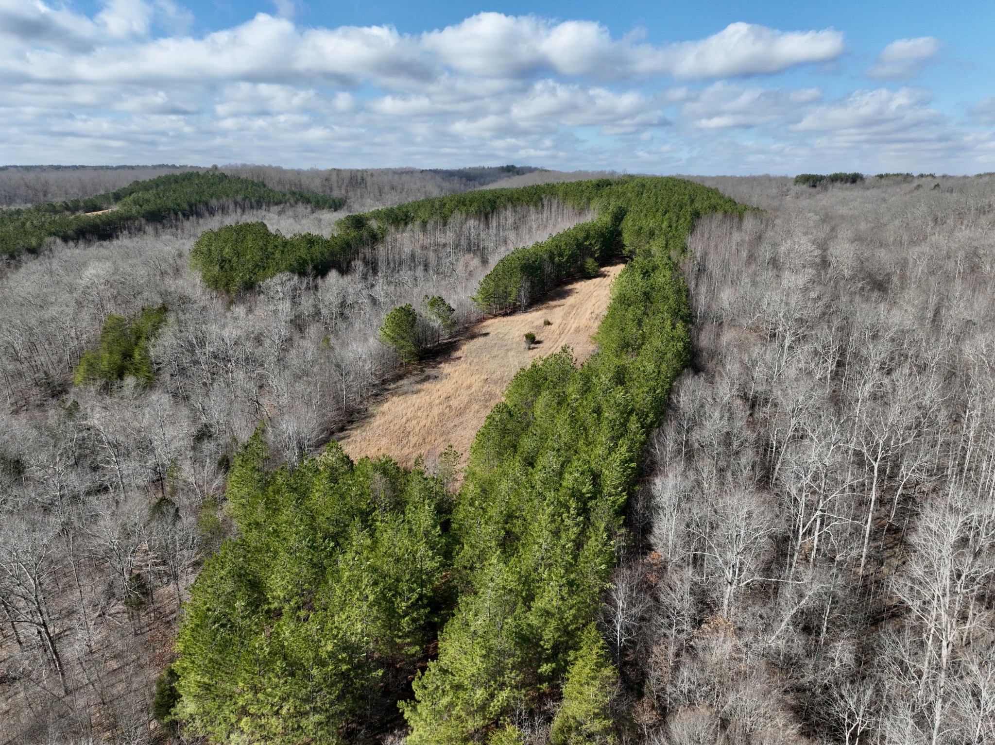 0 Duck River Property Photo 17