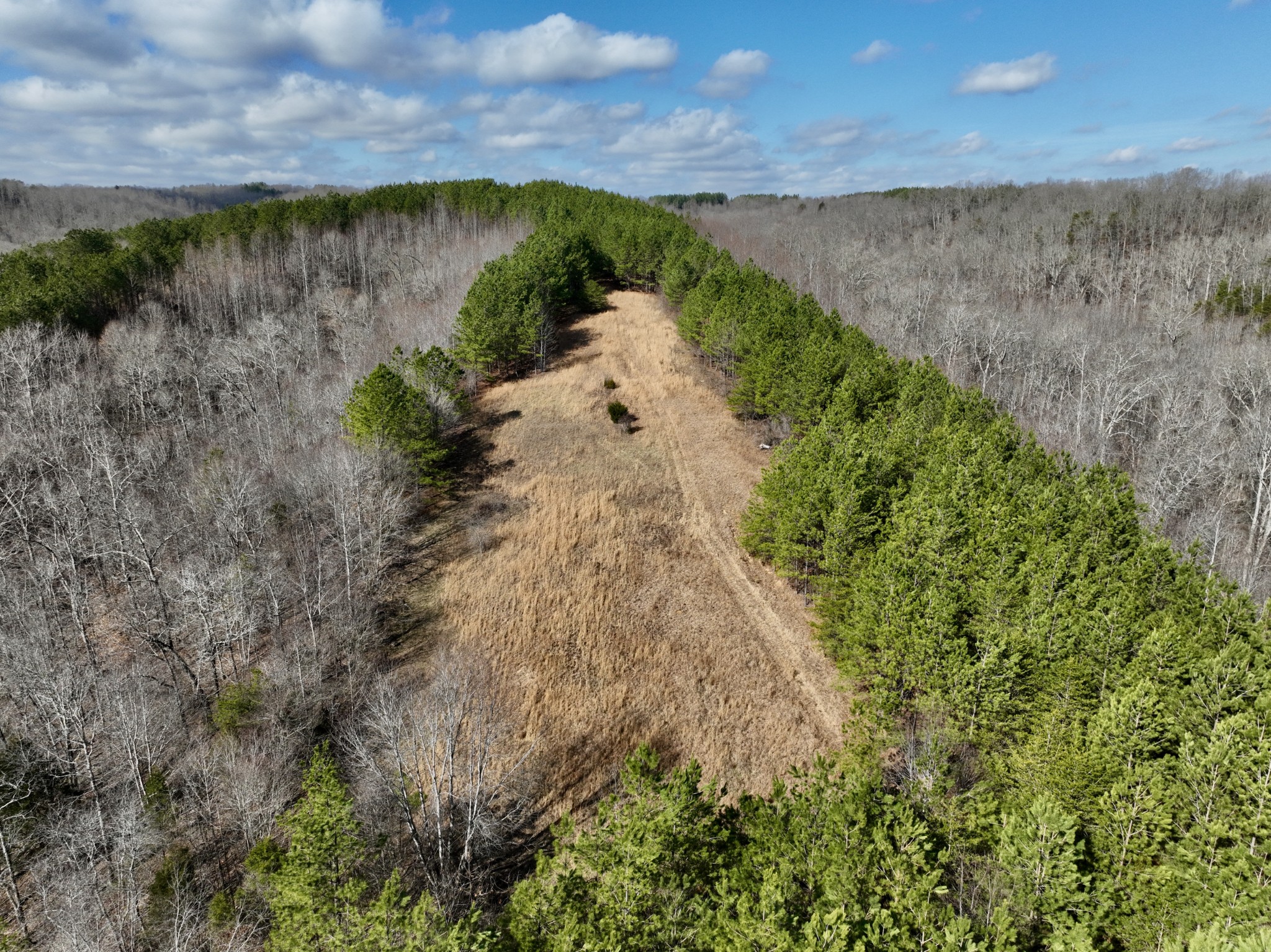 0 Duck River Property Photo 18