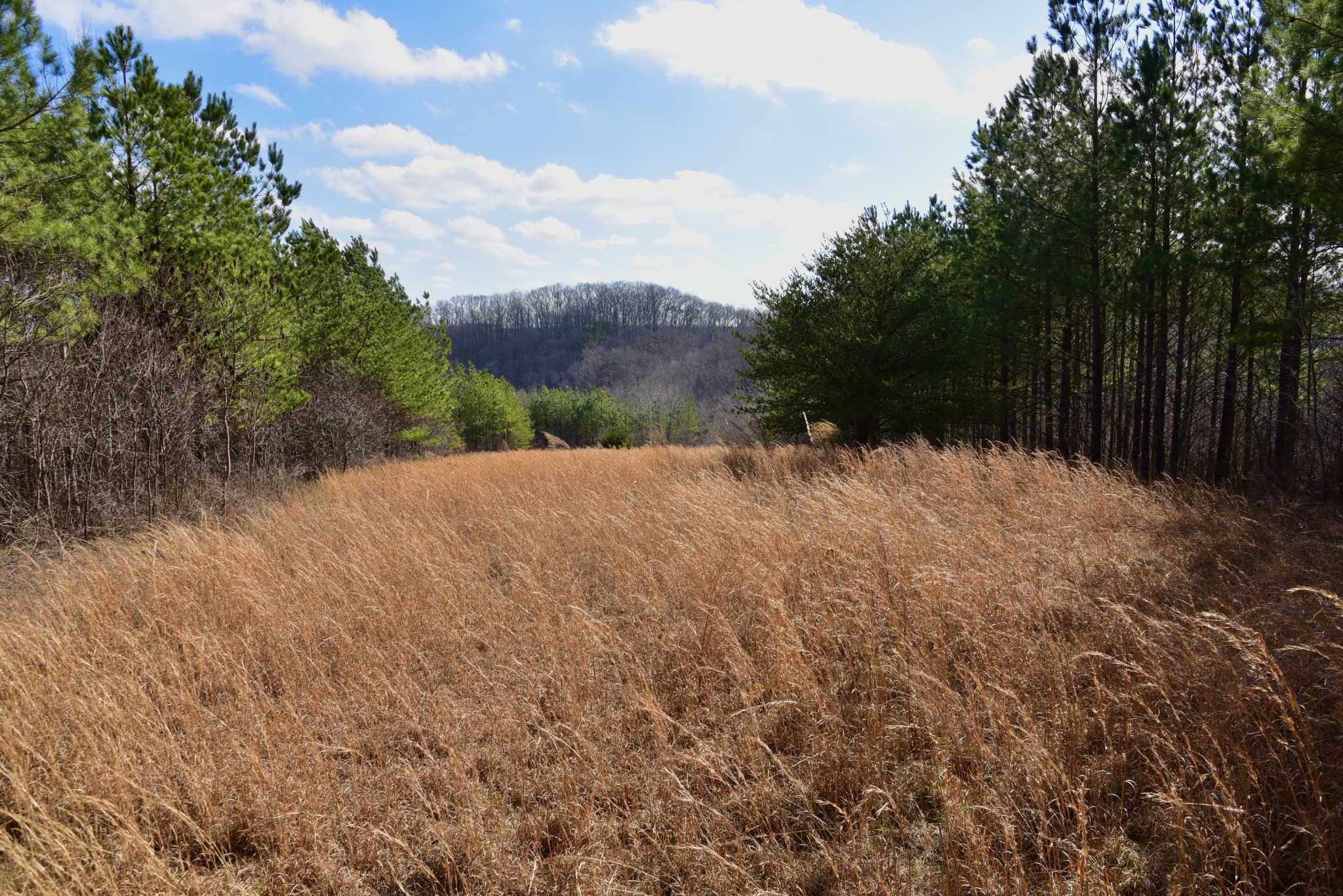 0 Duck River Property Photo 19