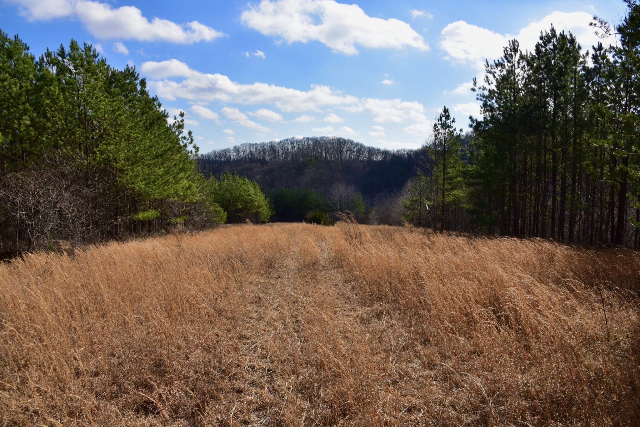 0 Duck River Property Photo 20