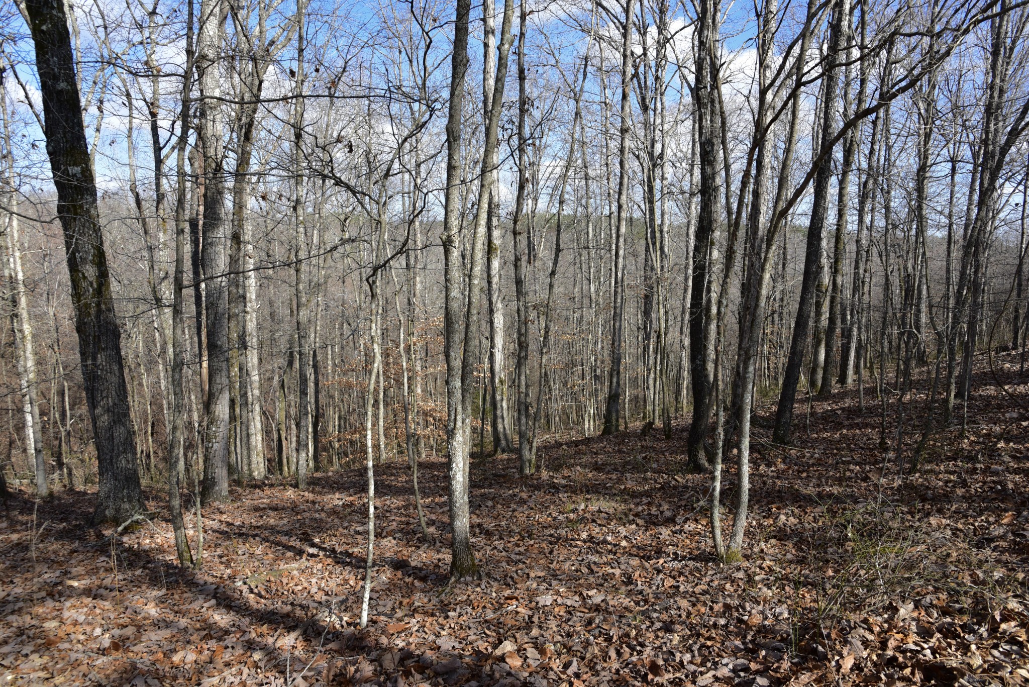 0 Duck River Property Photo 23