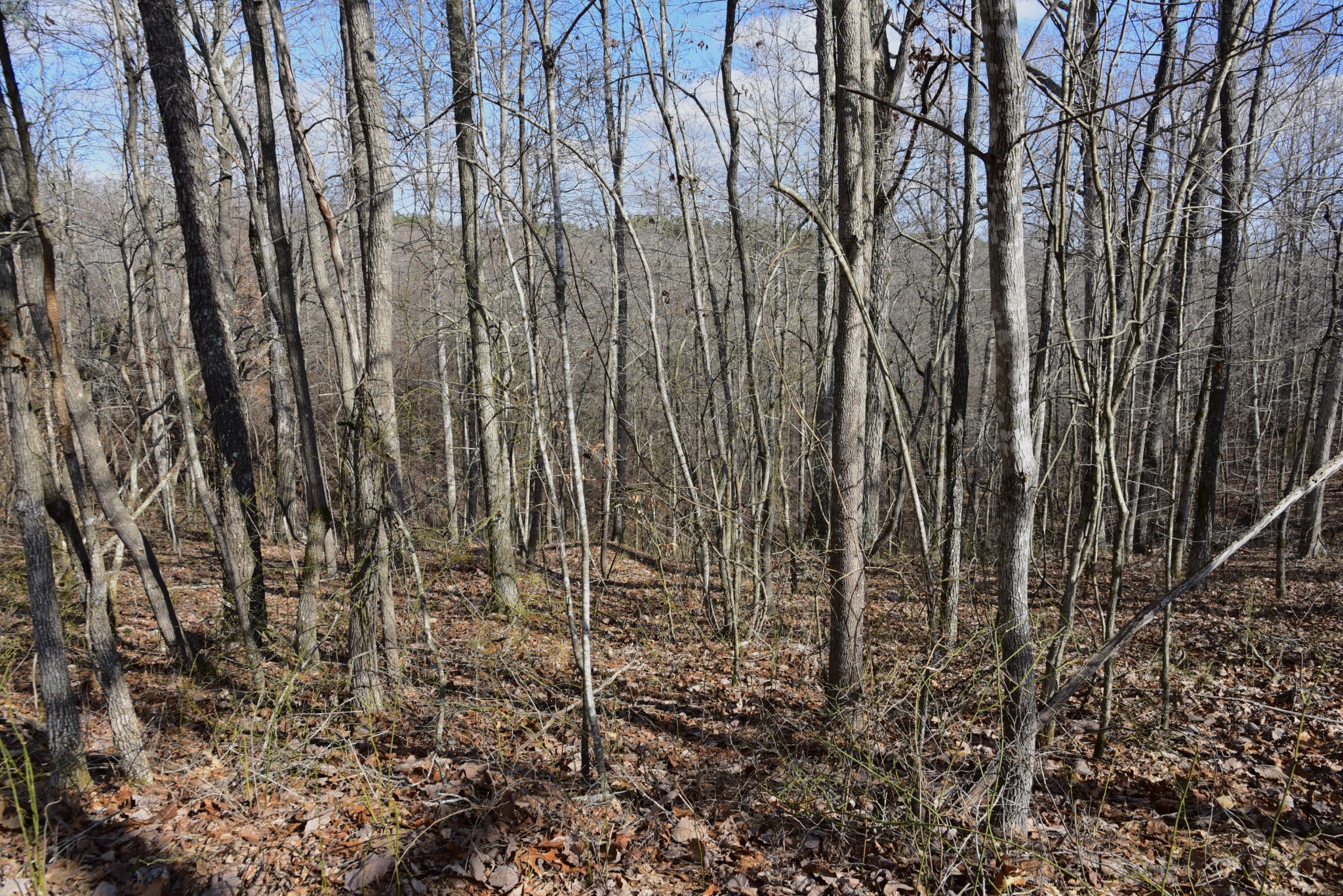 0 Duck River Property Photo 24