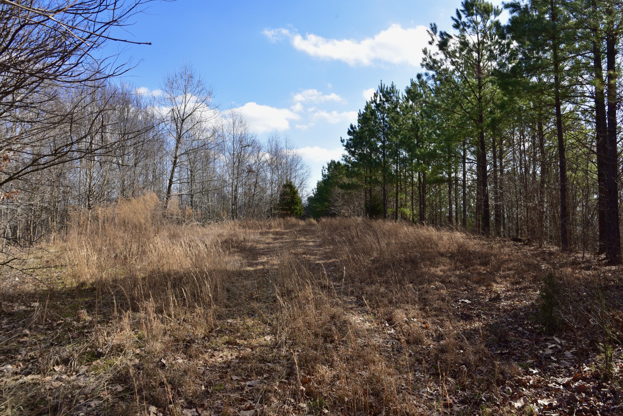 0 Duck River Property Photo 27