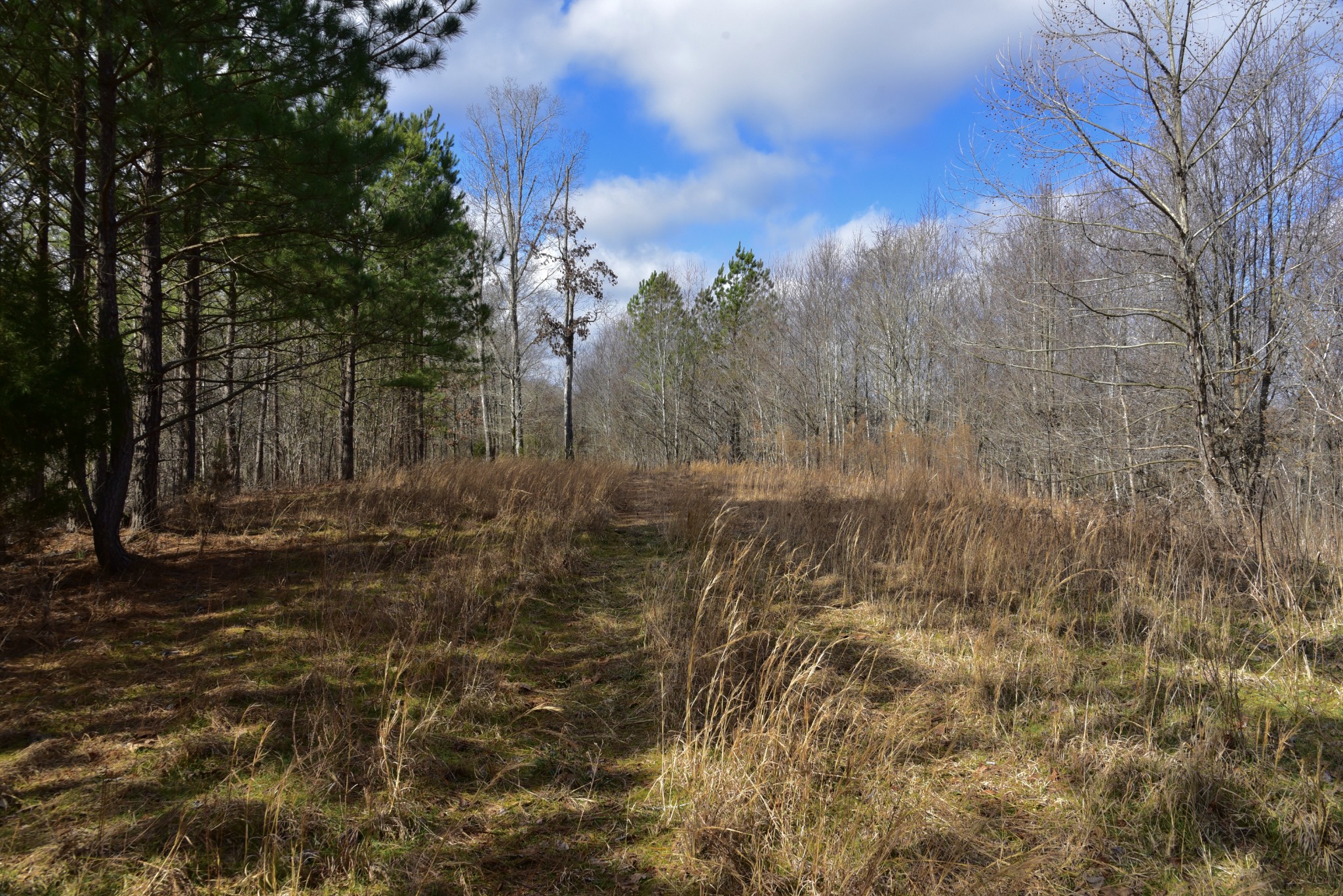 0 Duck River Property Photo 29