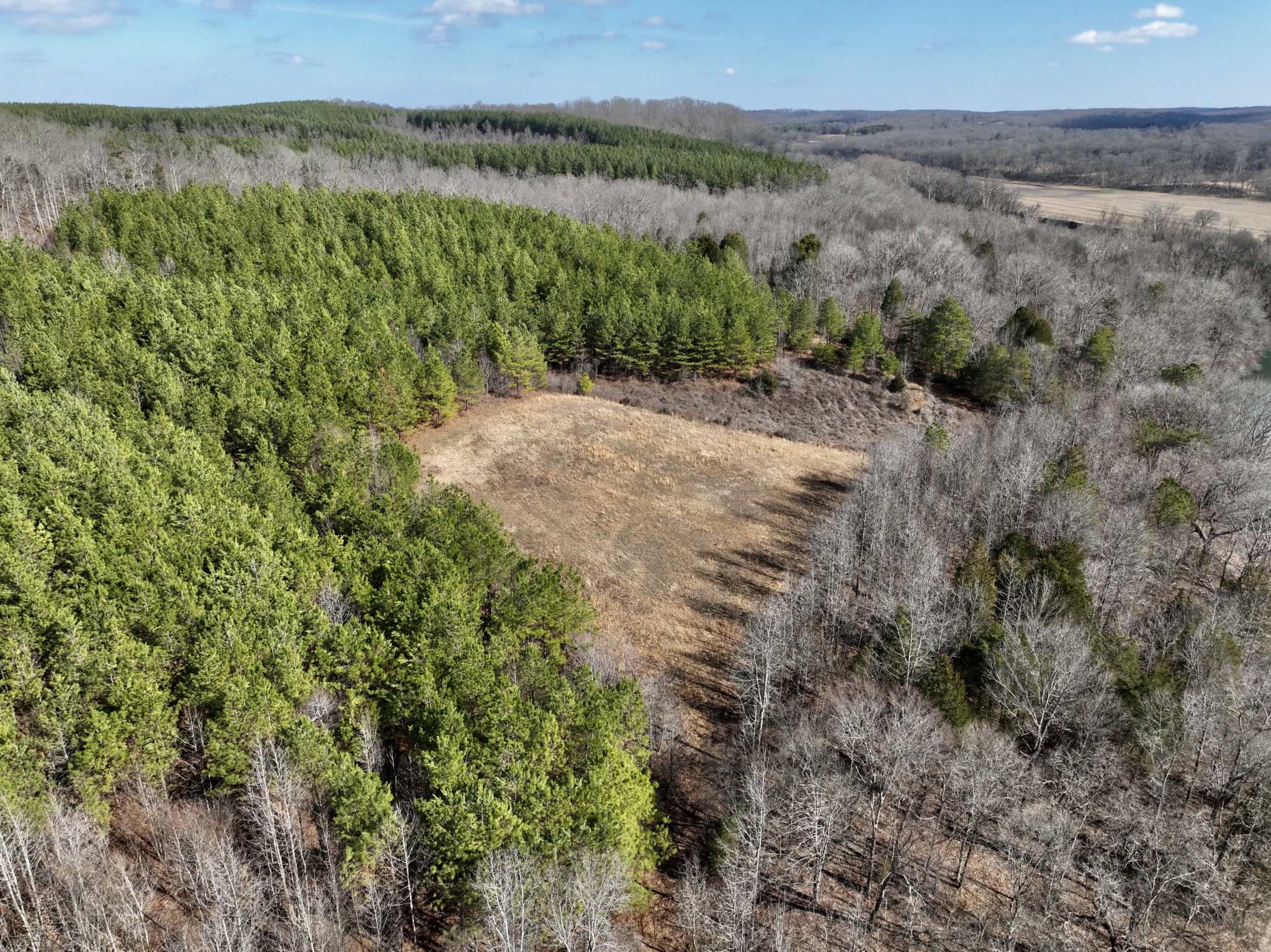 0 Duck River Property Photo 31