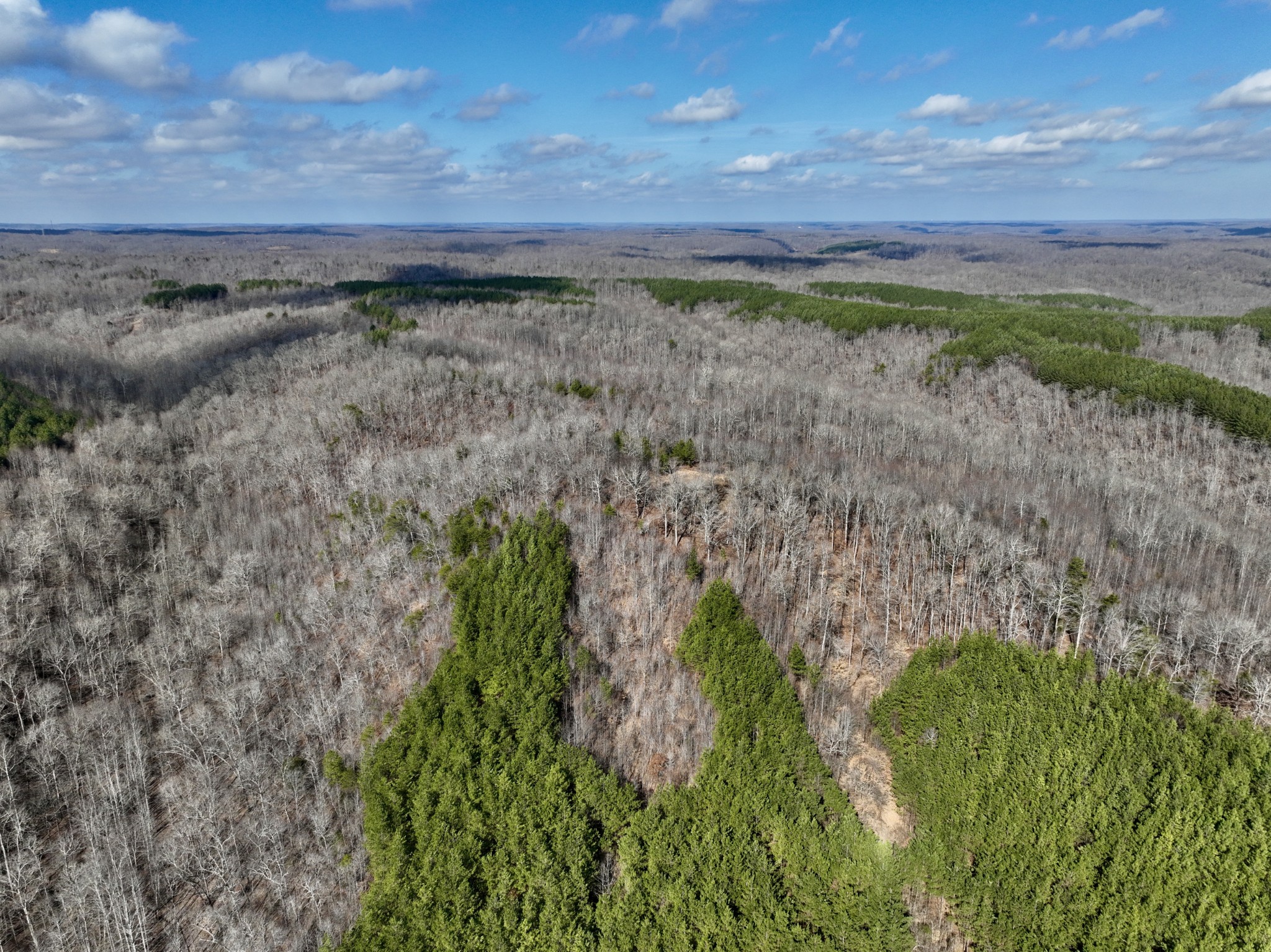 0 Duck River Property Photo 32