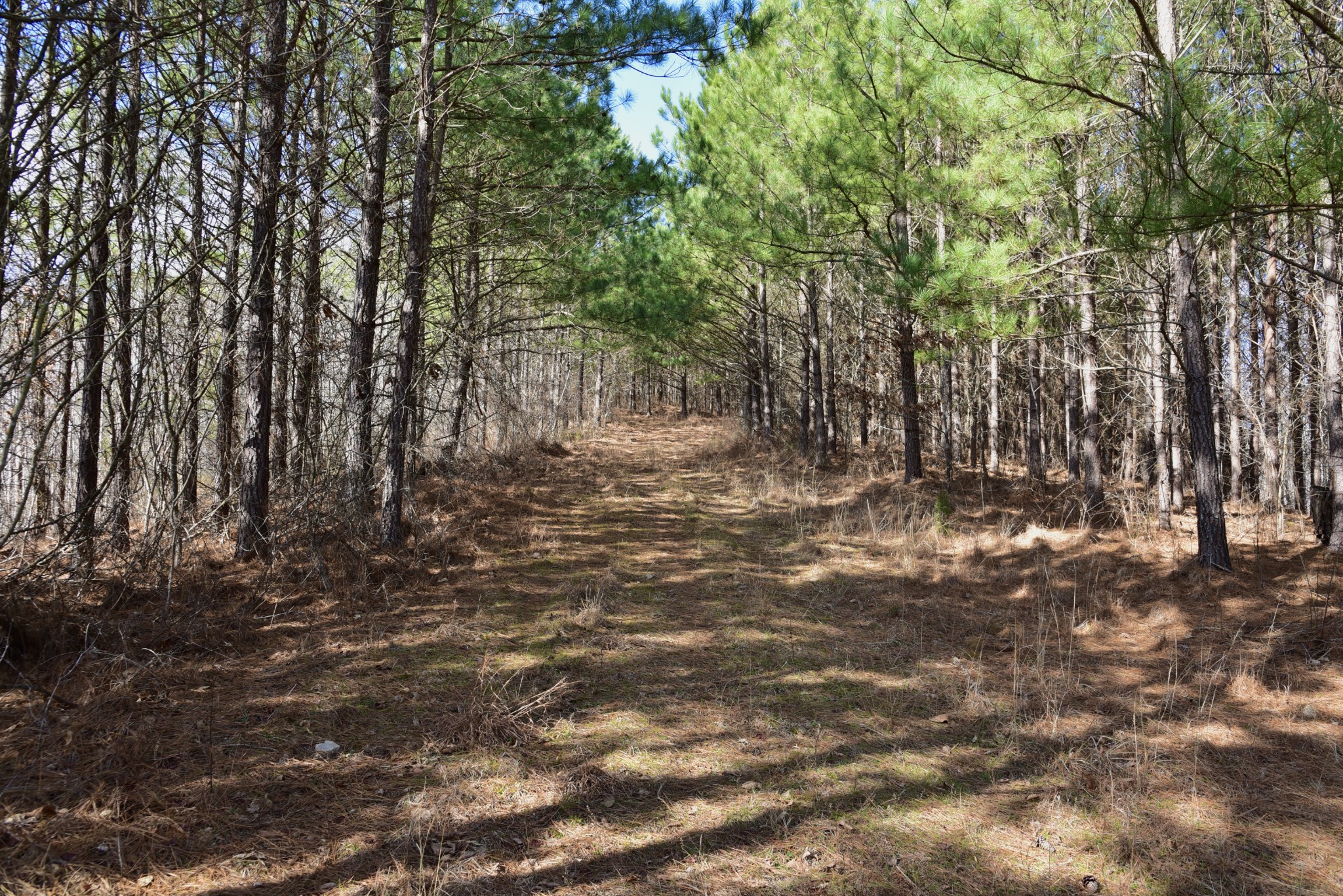 0 Duck River Property Photo 33