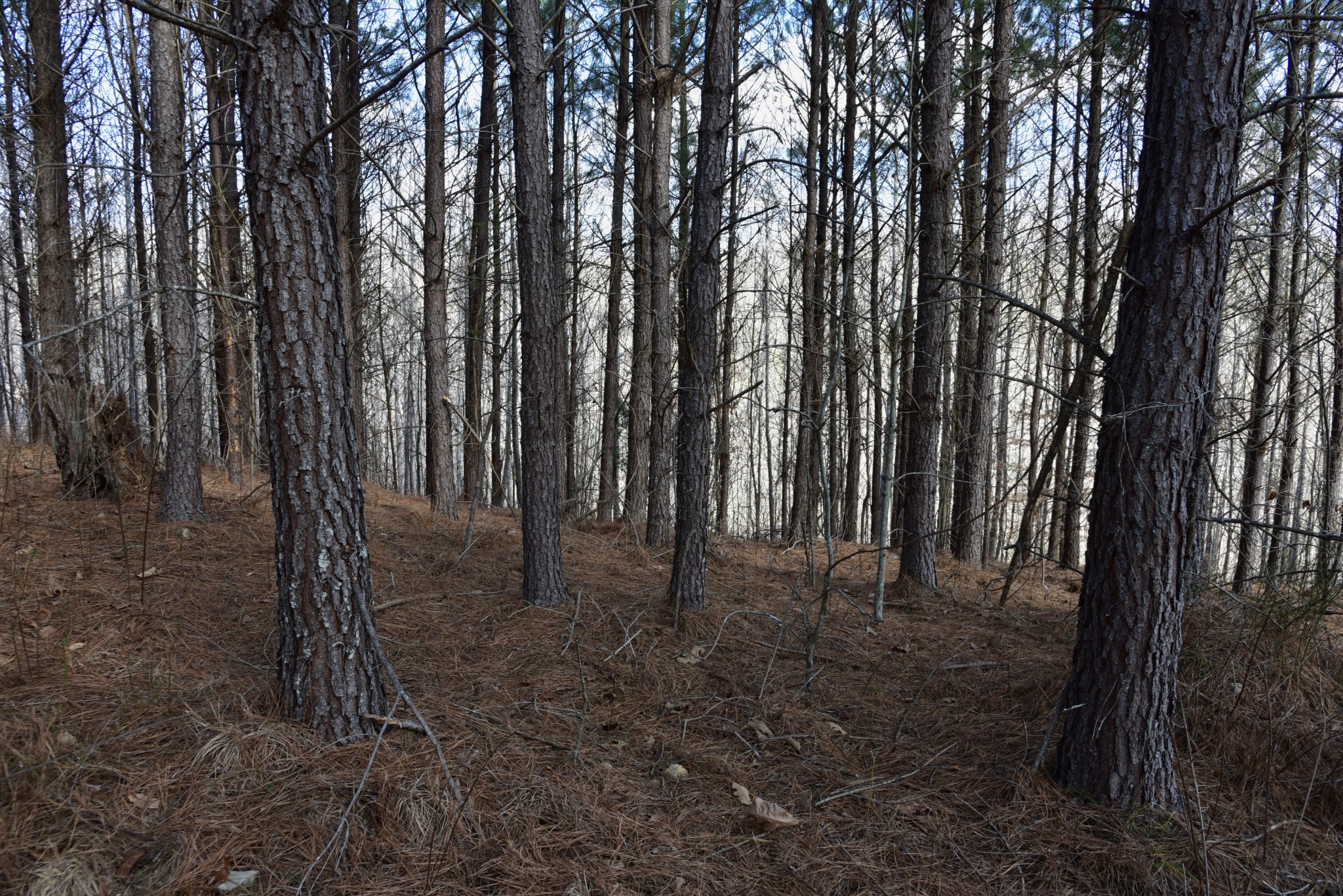 0 Duck River Property Photo 34