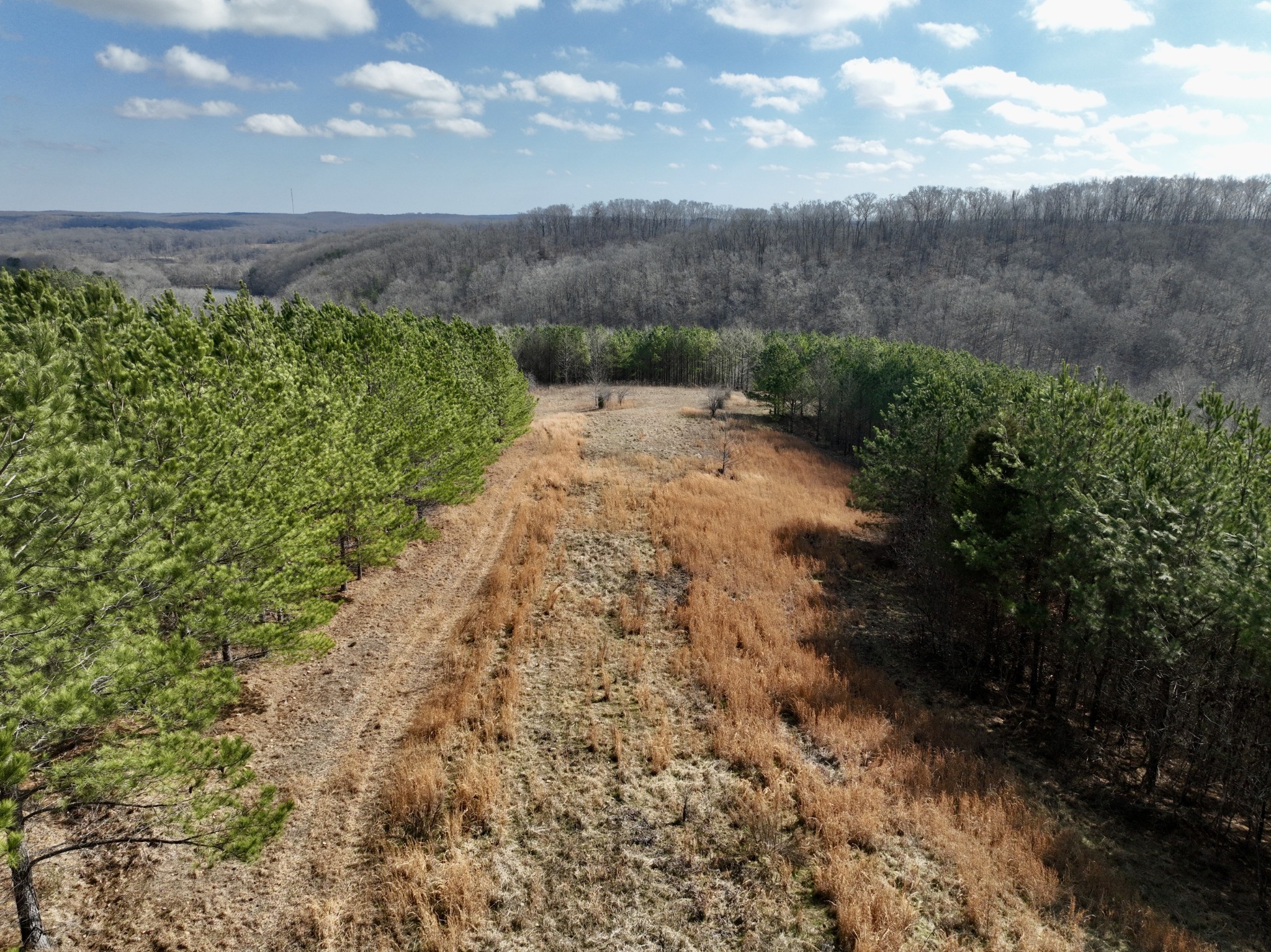 0 Duck River Property Photo 38