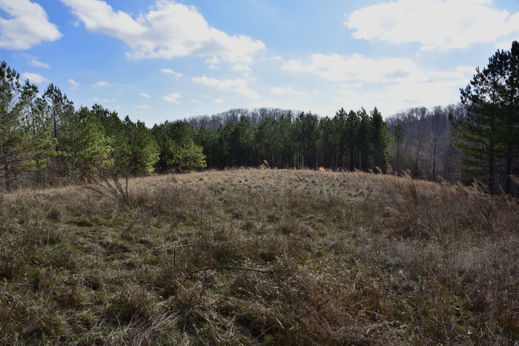 0 Duck River Property Photo 39
