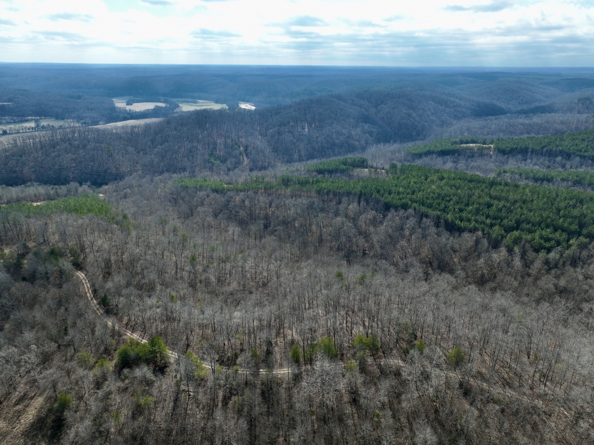 0 Duck River Property Photo 42