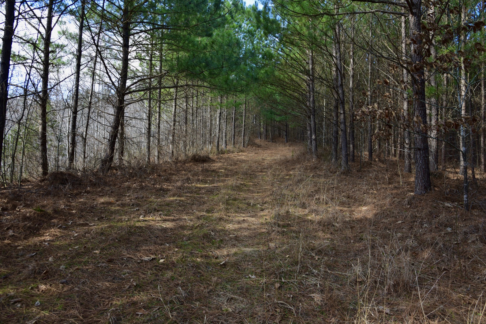 0 Duck River Property Photo 43