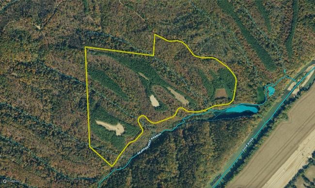 0 Duck River Property Photo 44