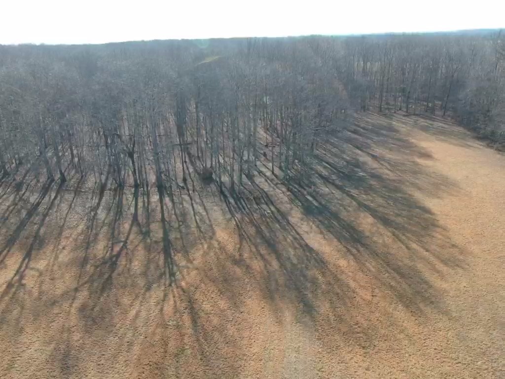 0 Johnson Branch Road Property Photo 2