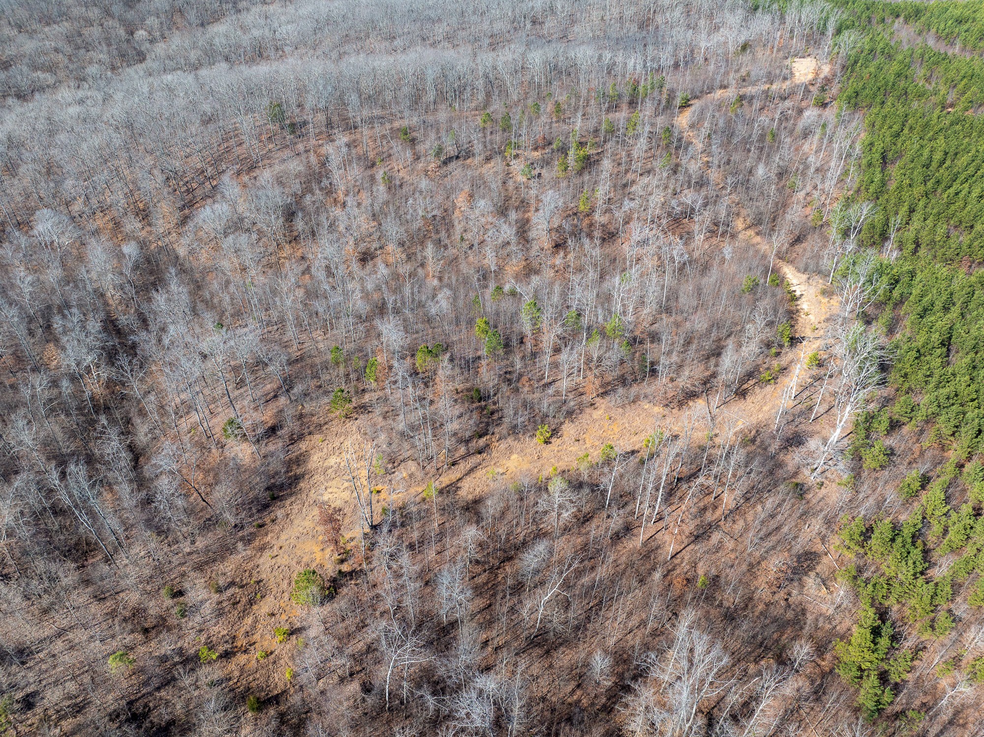 417 Sugar Tree School Rd Property Photo 13