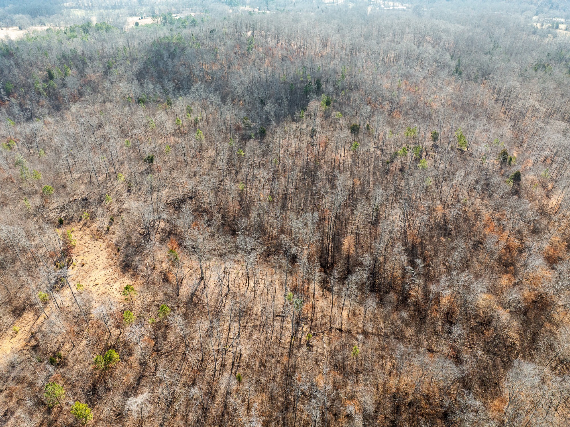 417 Sugar Tree School Rd Property Photo 14