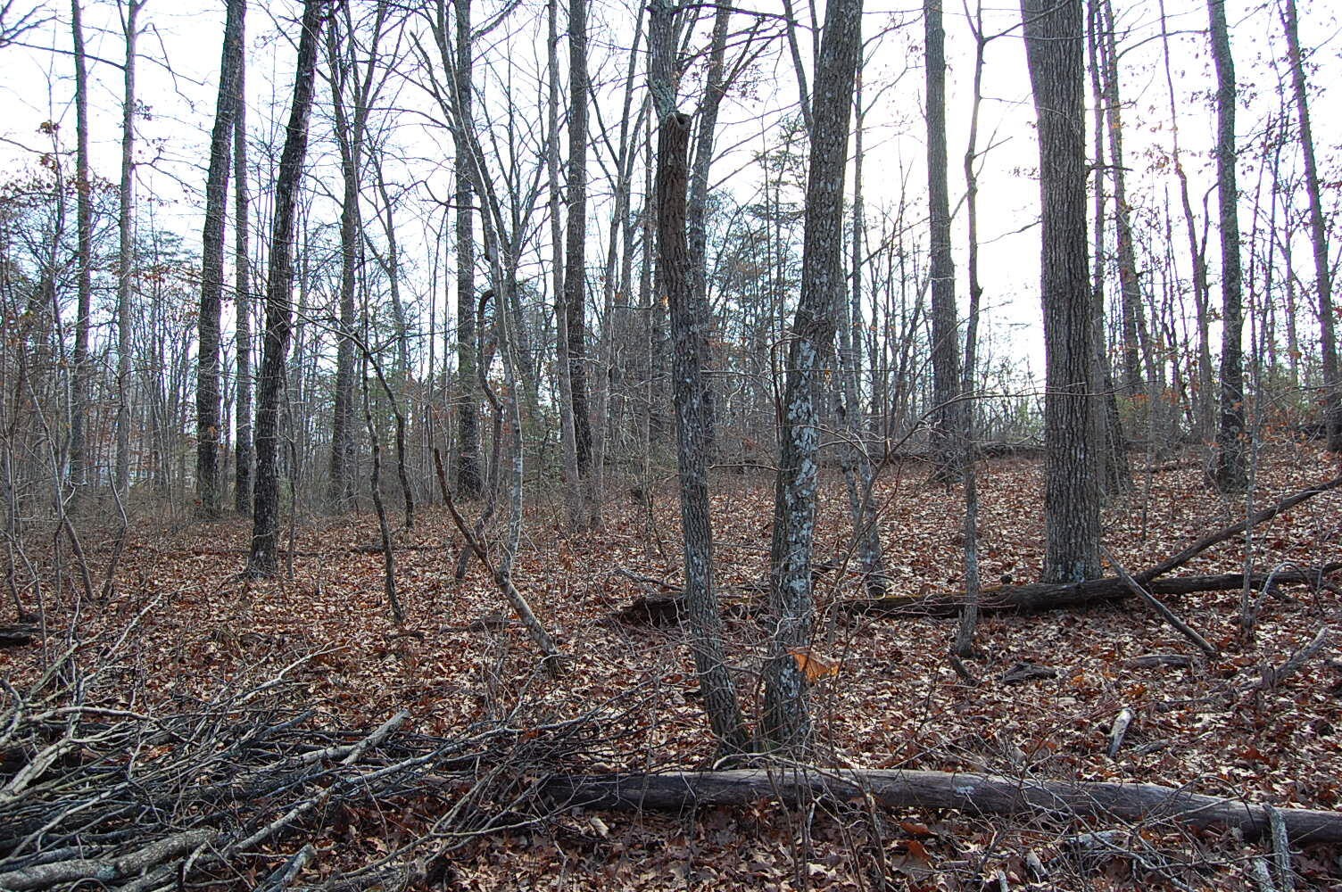 71 Vince Tate Lane Property Photo 2