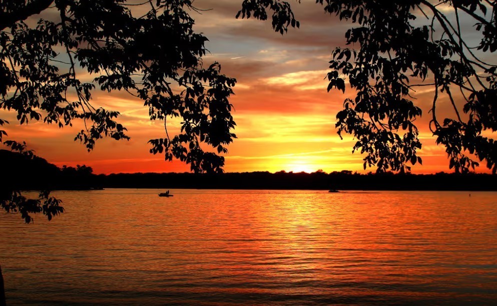 1025 Harvest Acres Lane Property Photo 32